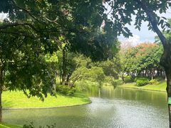 -长洲岛
