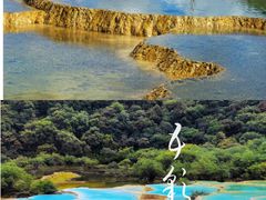 -黄龙山原始森林景区