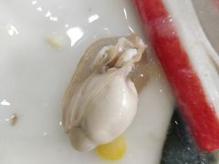 -蚝专家