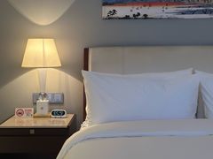 -上海圣淘沙万怡酒店