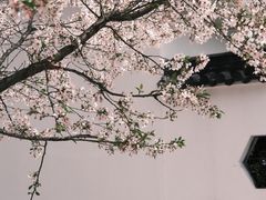 -宜兴龙背山森林公园