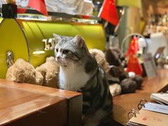 -咖法森林·咖啡  酒吧(天河店)