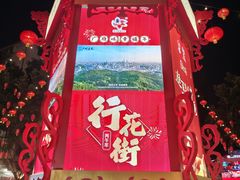 -越秀西湖花市(广州城市广场花卉店)