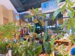 -木屋烧烤(龙岗南联店)