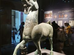 -广西壮族自治区博物馆