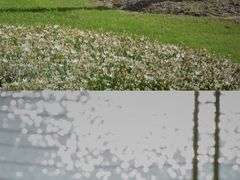 -上海辰山植物园