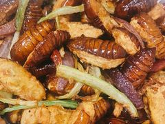 -吉味馆(柠溪店)