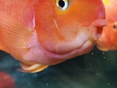 -沙沙哗啦海洋馆(华宇百花谷店)