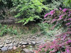 -潜山国家森林公园