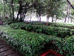 android_upload_pic-天目湖山水园