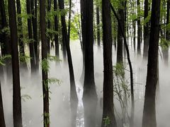 -东湖落雁景区