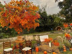 -HERRE·FARM 赫尔露营农场·团建聚会包场