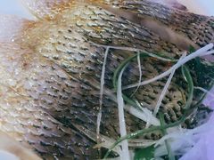 -碧中海汤泉汗蒸酒店