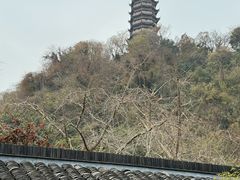 -焦山风景区