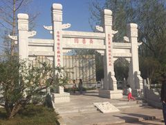 -武清南湖绿博园