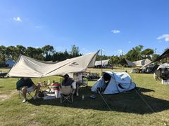 -春花秋色城市公园