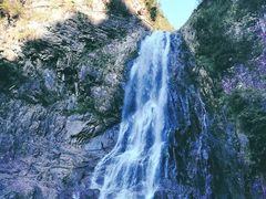 -龙湾潭国家森林公园