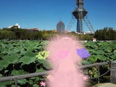 -裕华世纪公园