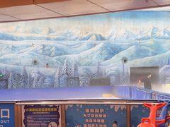 -世界之窗阿尔卑斯冰雪世界