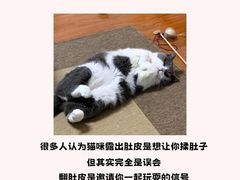 -爱侣宠医·鹦鹉专科·小型哺乳类·异宠专科(灵石路店)