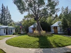 -前小桔亲子创意农场·草莓采摘·露营烧烤