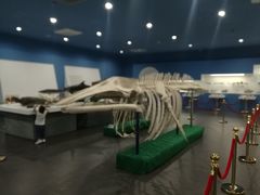 景点-上海长兴岛郊野公园