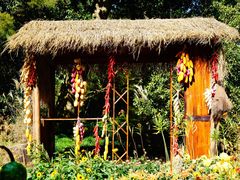 -旅马餐厅(茅家埠店)