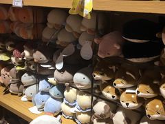 -九木杂物社(中心店)