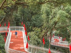 -金鸡山公园