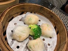 -新兴·金羊座·粤菜点心(乐峰店)