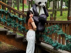 -洛阳白云山景区