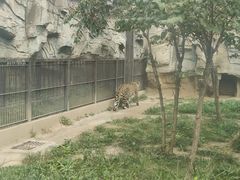 -石家庄市动物园