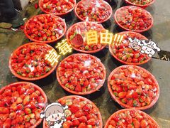 -江杨农产品批发市场