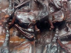 -黑色经典臭豆腐·湖南特产(步行街店)