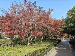 -蠡湖大桥公园