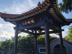 -野狸岛