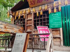 -水车博览园