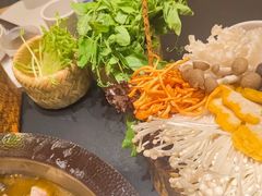 -柴窝堡22号辣子鸡·传承新疆菜