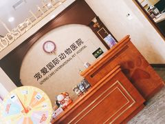 -宠爱国际动物医院· 猫科· 外科·中兽医(长白店)