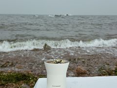 -海合安青岛极地海洋公园