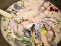 -鲜潭蒸汽石锅鱼(五道口购物中心店)