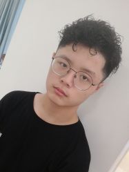 -YESIDO椰岛造型