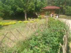 -黑龙江省森林植物园