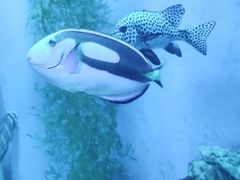 -大连老虎滩海洋公园