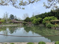 -嘉定紫藤园