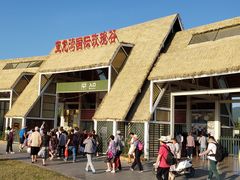 -亚龙湾国际玫瑰谷