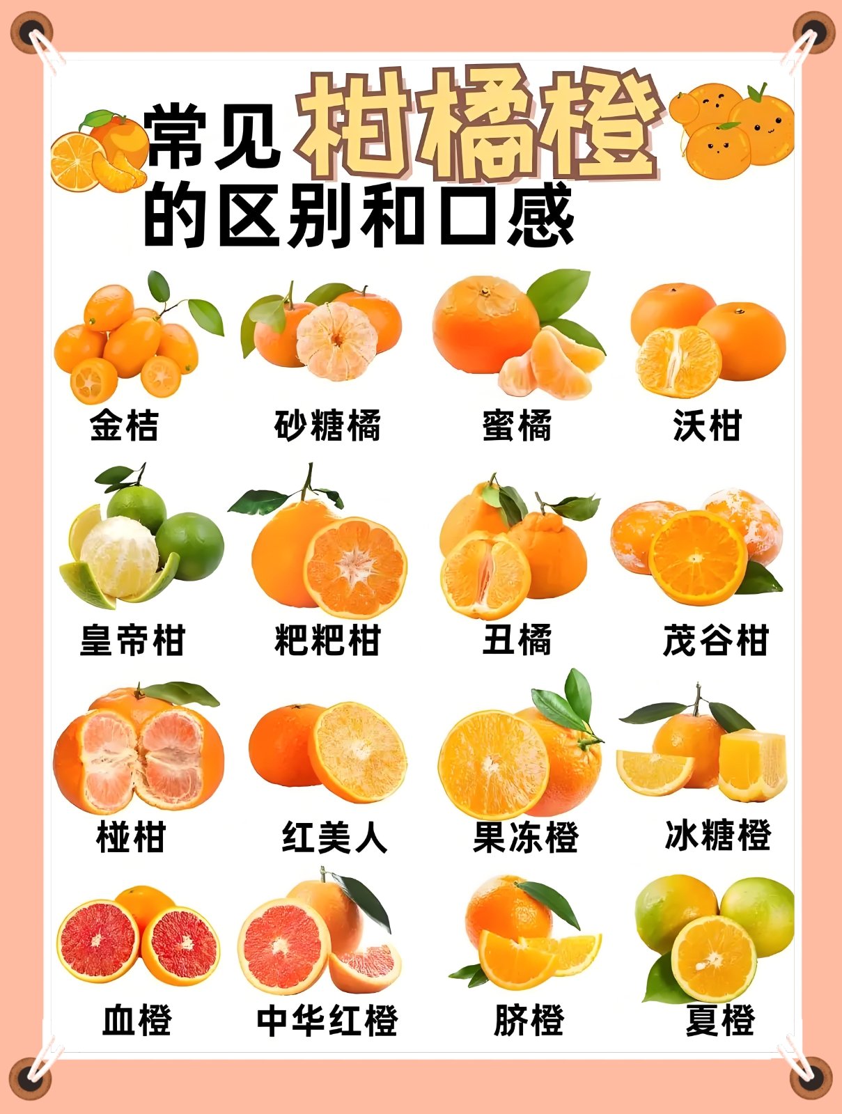 常见柑橘橙合集🍊\\n柑