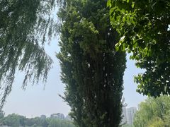 -皇家御河游(紫御湾码头)