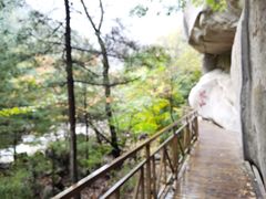 -青峰峡国家森林公园