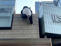 -巴蜀大宅门火锅(北大街店)